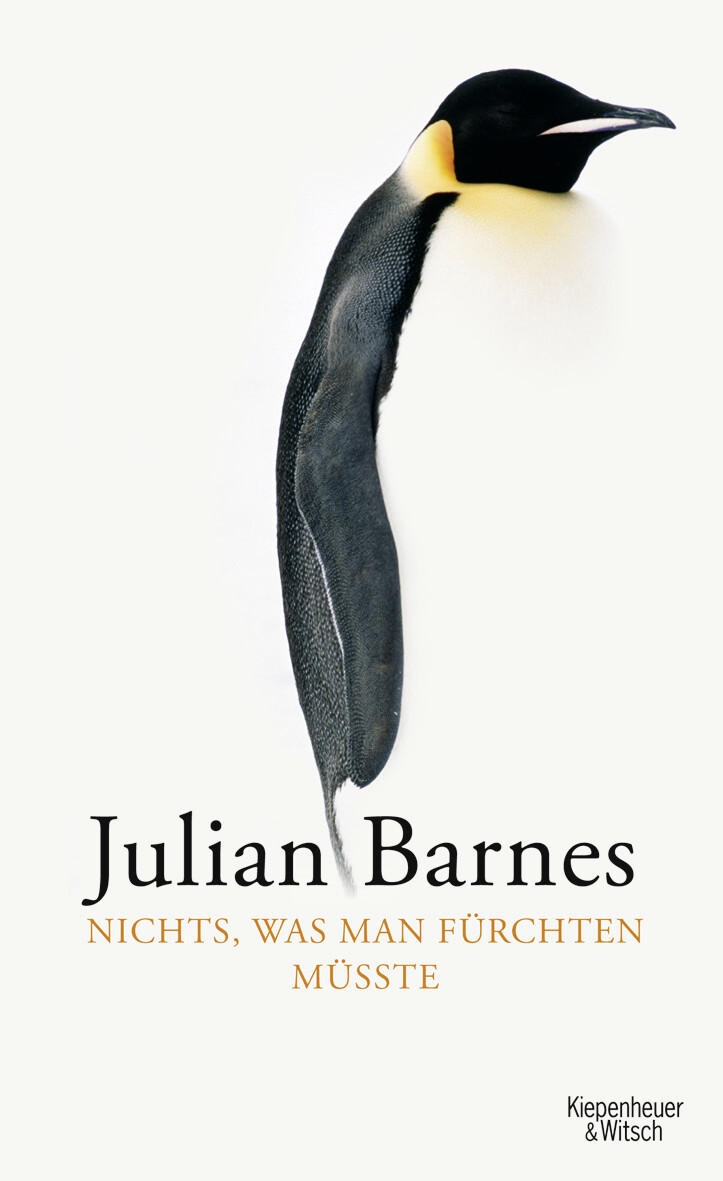 Thumbnail - Julian Barnes; Gertraude Krueger / Nichts, Was Man Fürchten Müsste