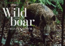 Wild boar Photo Book by Masato Yano | JAPAN Animal