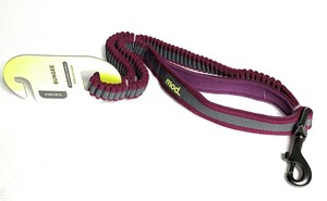 craigslist nova pets