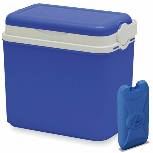 10L Colorful Camping Cooler Box Beach Picnic Travel Insulated Coolbox 1 Ice Pack - Picture 14 of 18