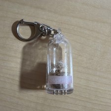 Supreme Cactus Keychain Box Logo SS18 - Dead