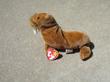 TY Beanie Baby - PAUL the Walrus 7 inch - MWMT's Stuffed Animal Toy 2-23-1999