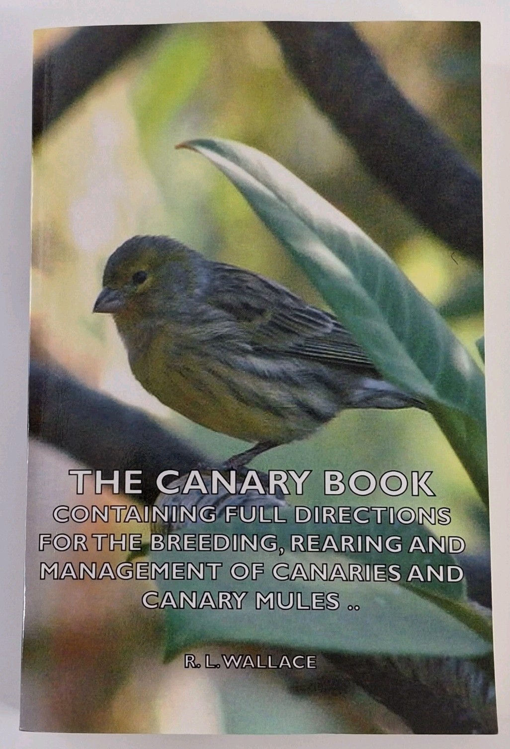 The Canary Book by R.L Wallace : Breeding, Rearing, Management Reprint Paperback