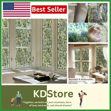 Rainbow Watercolor Privacy Window Film with Eucalyptus Green Design