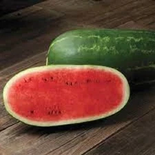 Premium Cal Sweet Supreme Watermelon - Fresh Heirloom Seeds - Universal Favorite