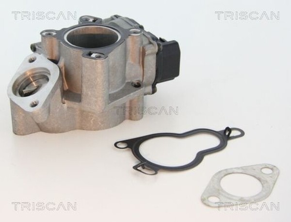 Triscan Ventil AbgasrüCkfüHrung Agr-Ventil 8813 25203-image