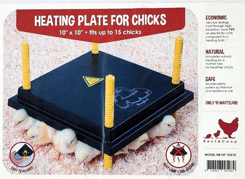 Kc Brooder Plate RentACoop 10