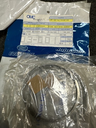 OMC BRP Johnson Evinrude OEM 3.625" V6 Standard Rings 235Hp