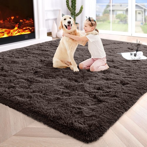 Fluffy Area Rugs Modern Shaggy Carpets for Living Room Fuzzy Soft Indoor Mat - Picture 4 of 47