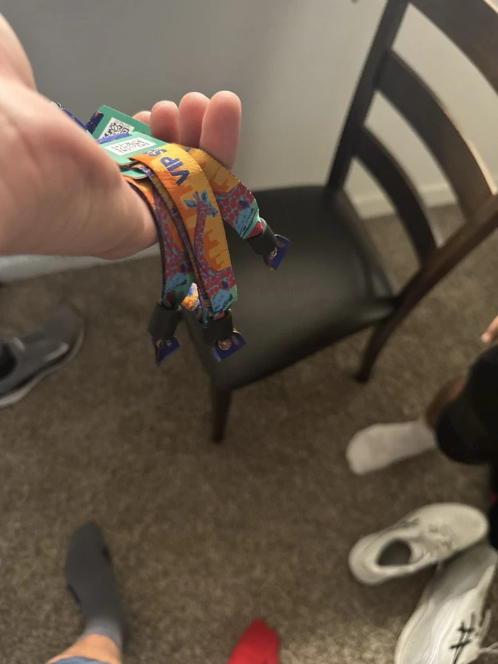 VIP Tagesausflug Festival Samstag 21.06.