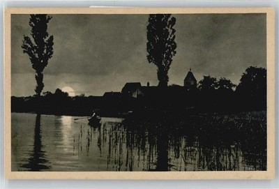 50545147 - 7752 Reichenau Moonlight, Lake, Rower