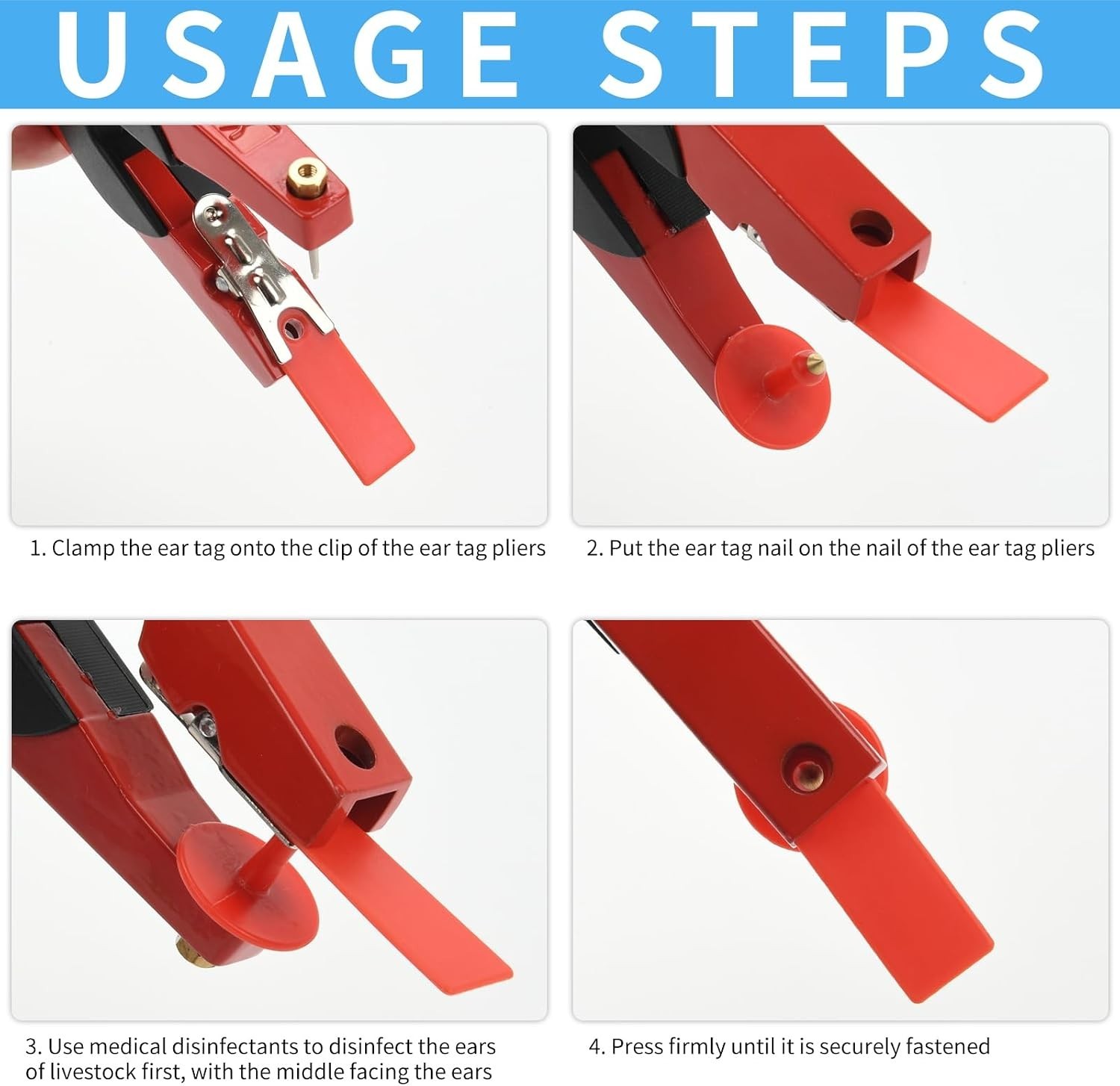 Slide 8