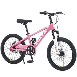 20 Inch Kids Mountain Bike for Boys Girls 7-10 Years,Disc Brakes,Suspension Fork