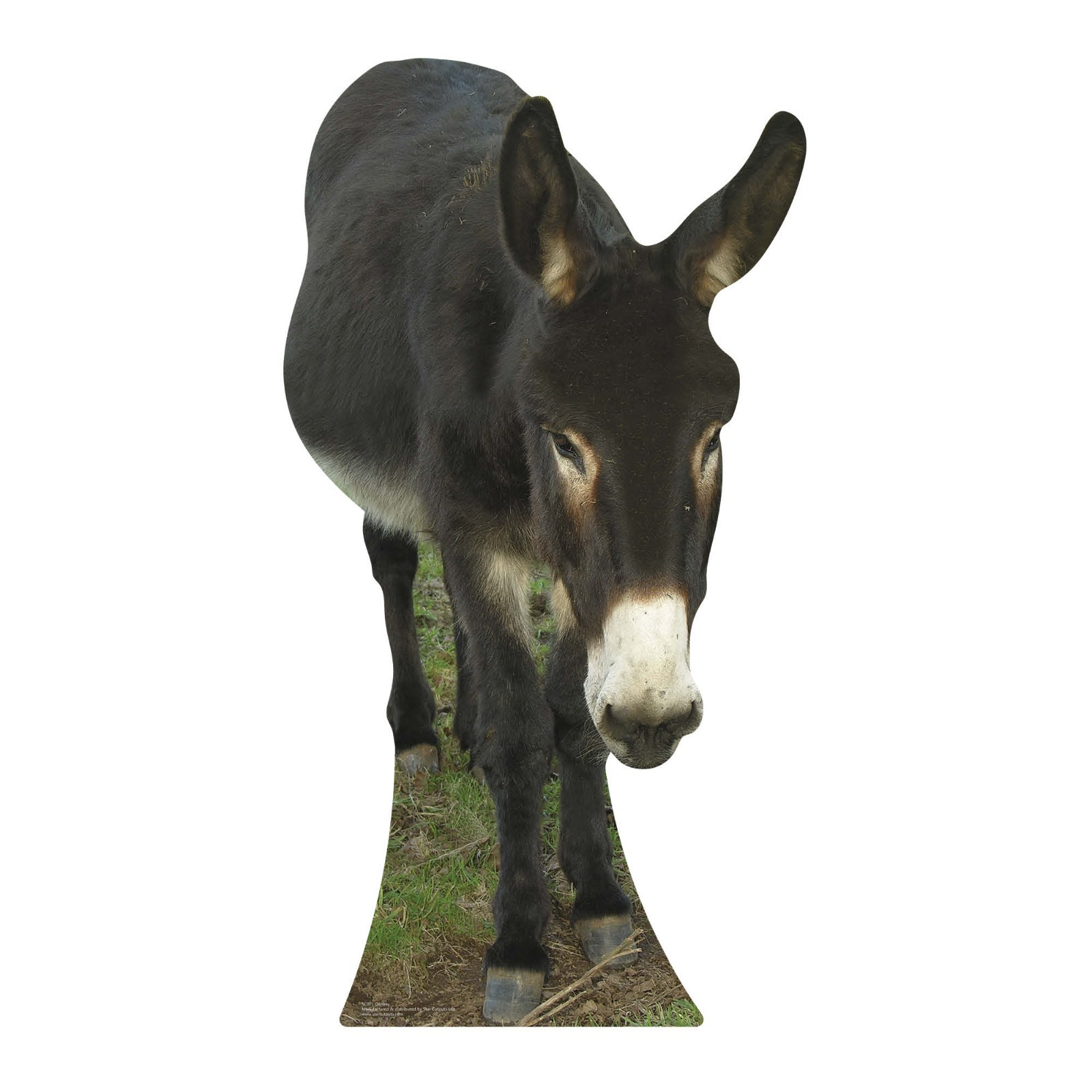 Donkey Cardboard Cutout Lifesize Animal Standee 130cm x 70cm Mule Horse Mustang