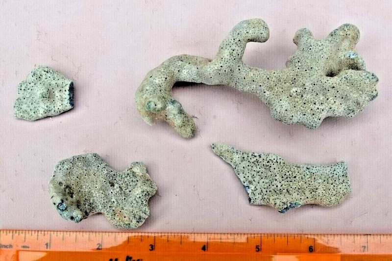 aquarium suitable, blue coral, genus Heliopora skeleton, collected in Sulu Sea