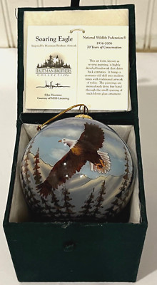 Soaring Eagle National Wildlife Federation Reverse Painted Glass Ornament W/Box
