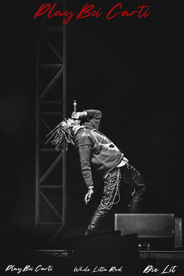 PlayBoi Carti Albums Custom Designed Rap Poster *FREE SHIPPING*