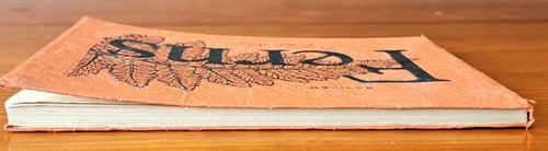 Vintage 1948 Illustrated "Revised Ferns" by Farida A. Wiley Paperback AMNH GUC - Picture 10 of 24