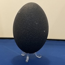 Emu Egg On clear  Stand 14cm tall ideal for decorative crafts decorating 
