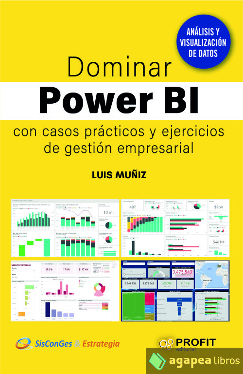 Dominar Power BI: Con casos prácticos y ejercicios de gestión empresarial