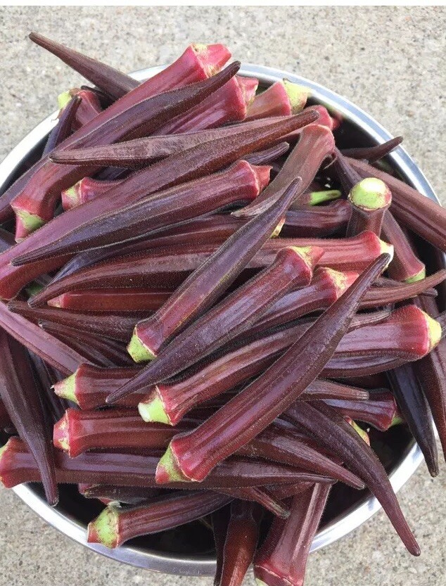 Okra Burgundy Red 100 Seeds Non Gmo Heirloom Vegetable Organic Grown 5g