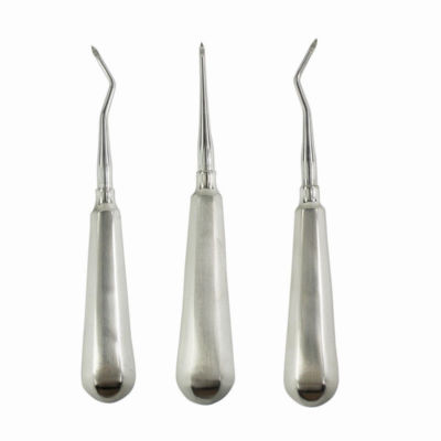 3 Pcs Dental Surgical Instrument Extraction Apical Stainless Steel Tip Elevator