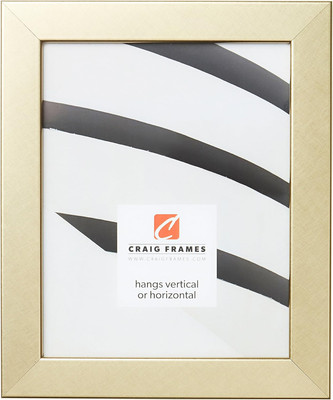 Bauhaus 125 Picture Frame, 24 X 36 Inch, Brushed Gold