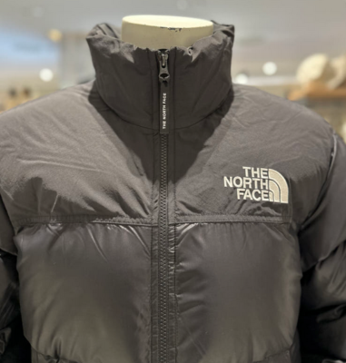 The North Face Men's Nuptse Onball Jacket NJ3NP55A | eBay