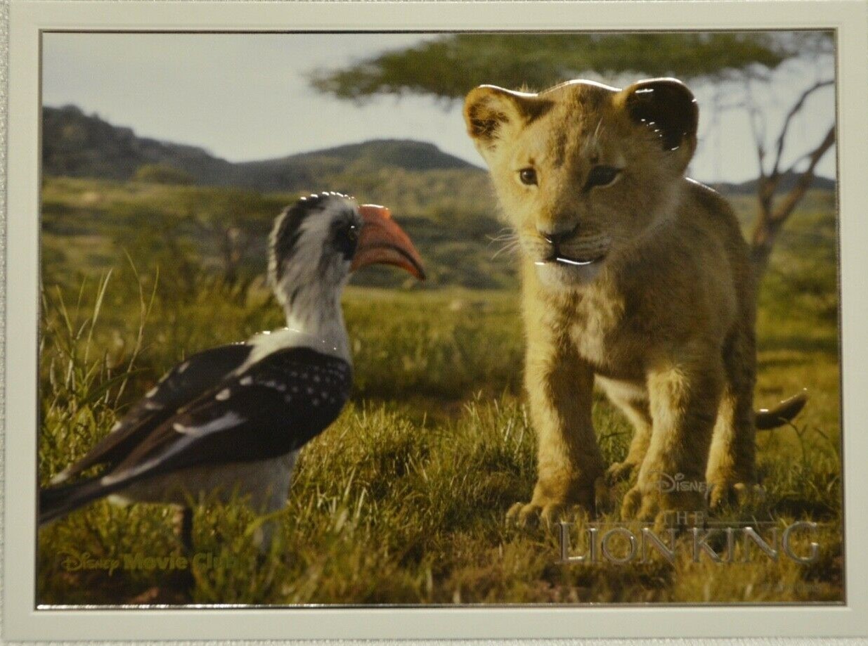 The Lion King Lithograph Disney Movie Club Exclusive 2019 NEW