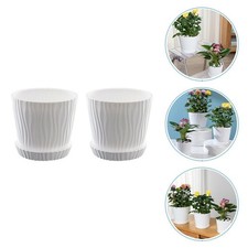  2 Sets Vasetti Piante Grasse Pianta Grassa Succulente Vasi Succulenti