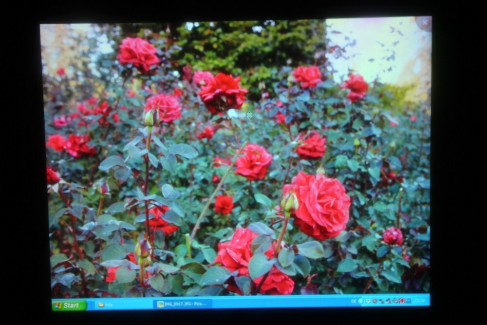 Bild 6 von 22