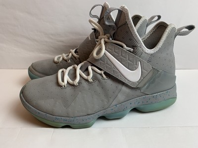 lebron 14 marty mcfly