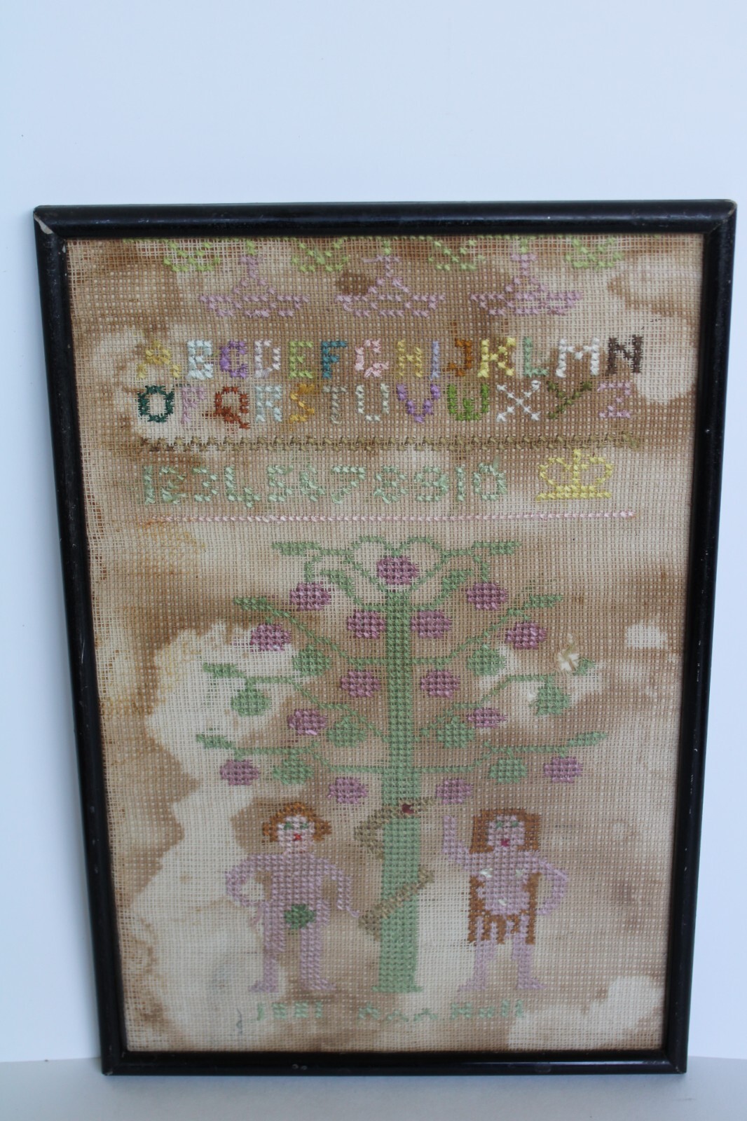 Picture 1 of 24