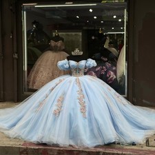 Princess Quinceanera Dresses Beading Flowers Appliques ball gowns Sweet 16 Tulle
