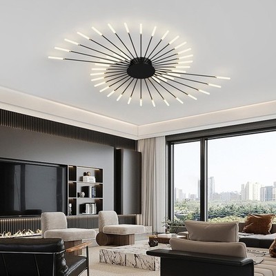 Creative Firework Ceiling Lamp with Plug-in LED Source 42 Lights,Black