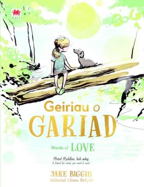 Geiriau o Gariad Words of Love by Jake Biggin HARDBACK - Image 2