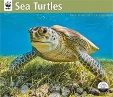 WWF Sea Turtles: 12x14 Deluxe Wall (Calendar)