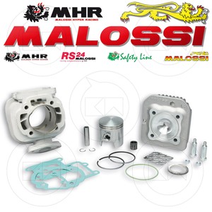 malossi trofeo minarelli