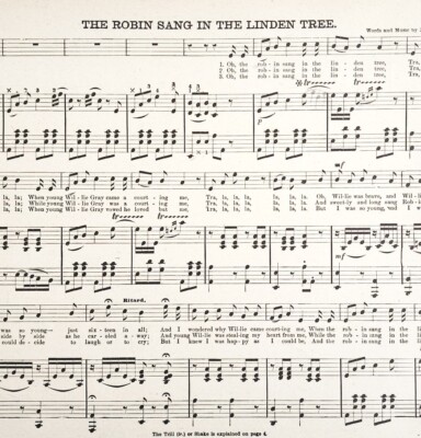1886 The Robin Sang In The Linden Tree Sheet Music Organ Victorian 11.5 x 9'' 