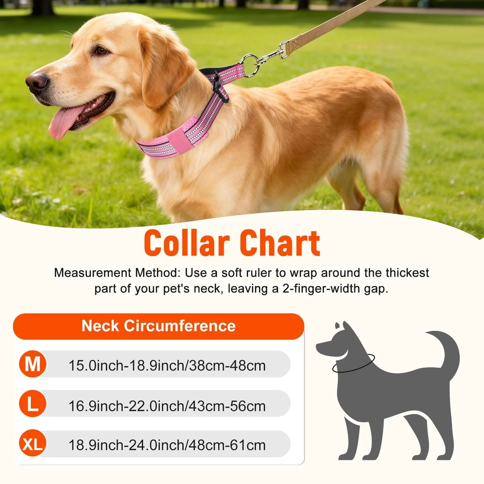 Collier pour Chien en Nylon Résistant, Collier Martingale Chien Grand Moyen - Photo 4/4