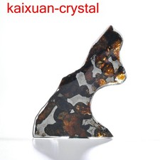 Sericho pallasite météorite gravée pleine tranche poids 11Ct 46mm USA DT1023