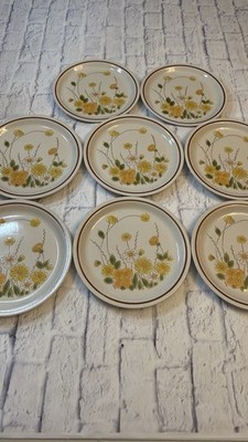 Ekco Eterna Camelot Spring Meadow Stoneware Dinner Plates   Set of 8