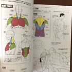 Foto 10 di 12