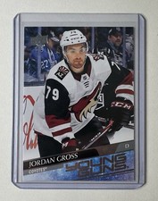 2020-21 Upper Deck - Series 2 Young Guns - Jordan Gross #466 (RC)