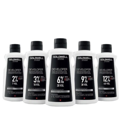 GOLDWELL System Developer 1 L