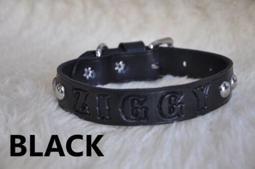 Leather Dog Custom Collar Personalized Free 2" WIDE Custom Quality Leather - Picture 3 of 7