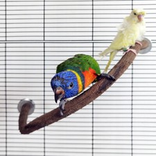 Parrot standing pole, branch, claw grinding stick, wooden frame combination