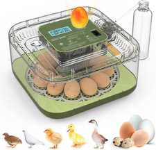 12 Egg Incubator with Automatic Turning, Temperature and Humidity Control, LED E