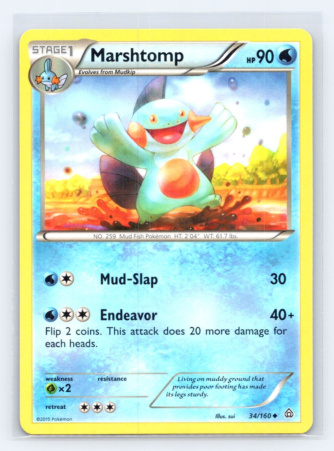 Marshtomp Uncommon XY - Primal Clash 34/160 NM