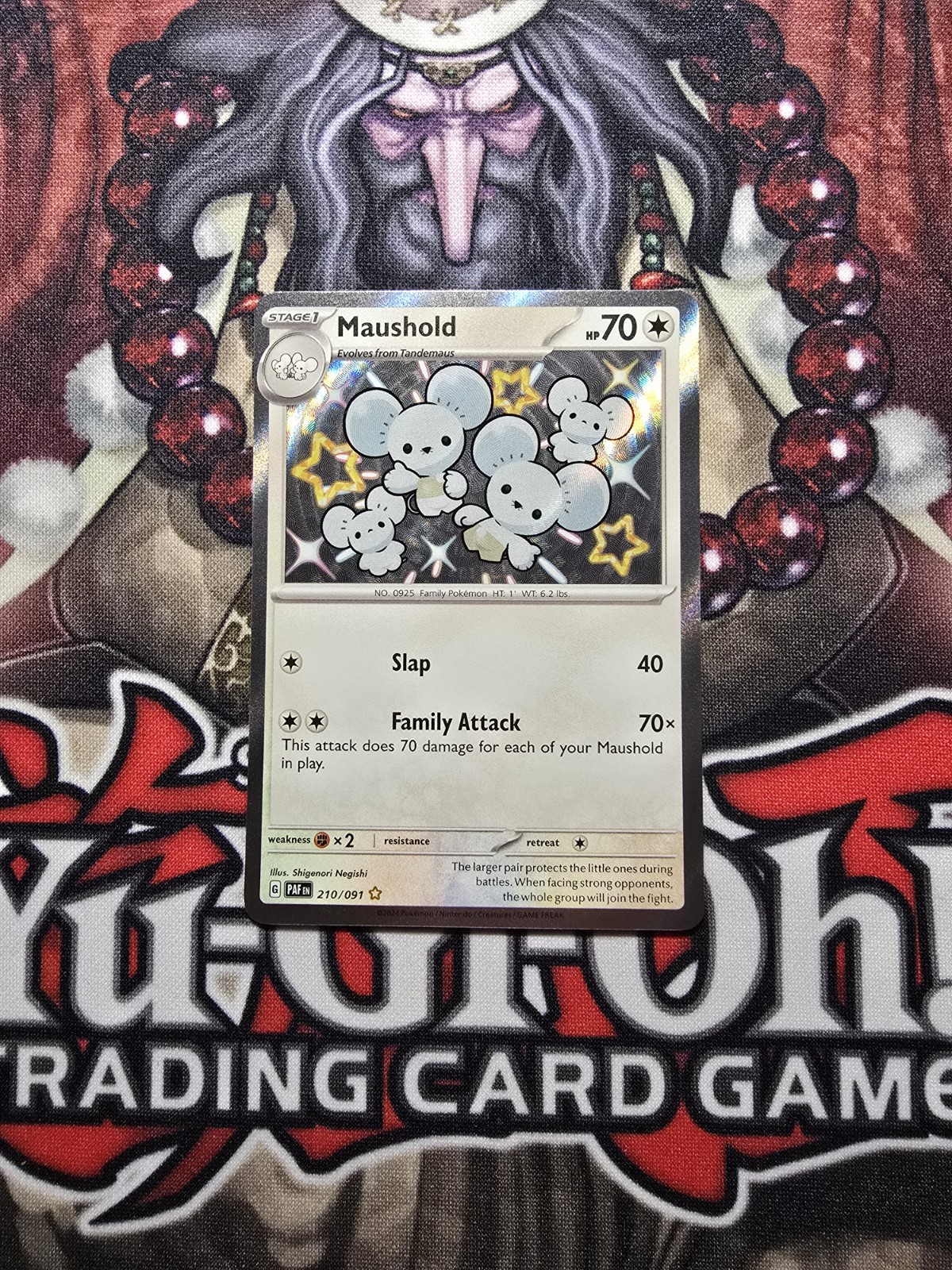 Maushold 210/091 SV: Paldean Fates Holo NM
